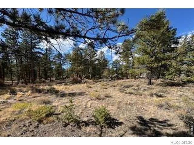 2921 Fox Acres Drive E Red Feather Lakes, CO 80545