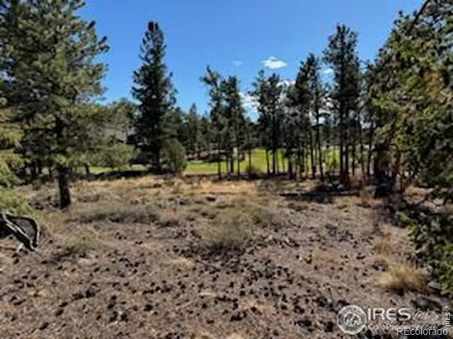 2921 Fox Acres Drive E Red Feather Lakes, CO 80545