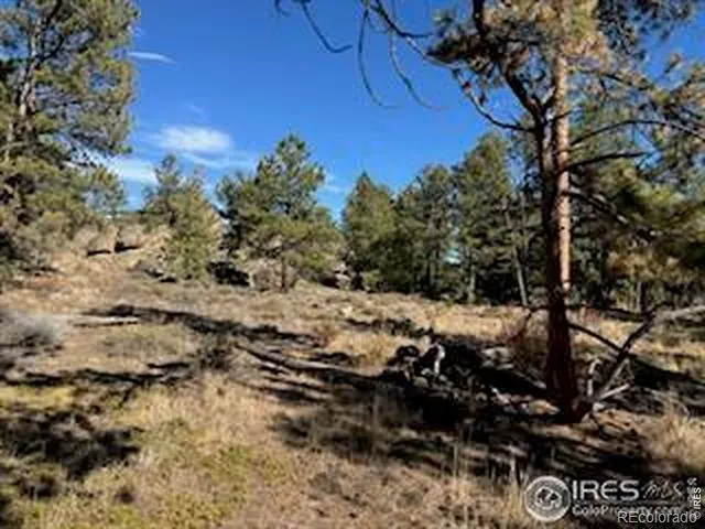 2921 Fox Acres Drive E Red Feather Lakes, CO 80545