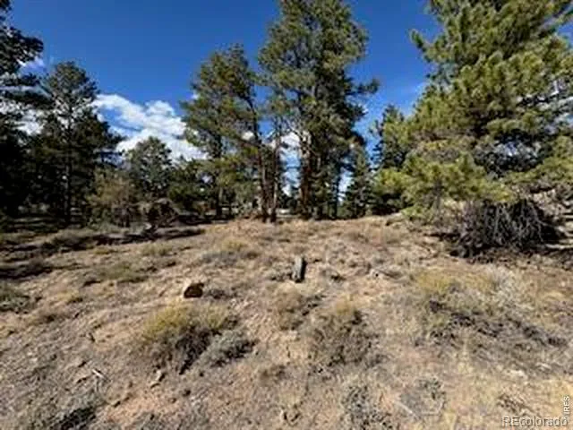 2921 Fox Acres Drive E Red Feather Lakes, CO 80545