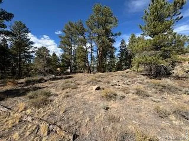 2921 Fox Acres Drive E Red Feather Lakes, CO 80545