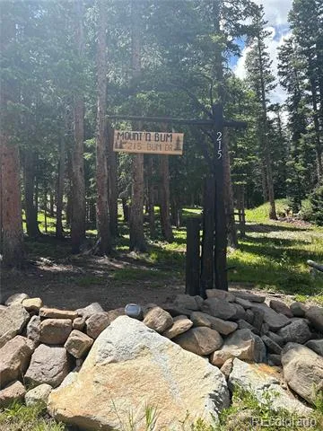 215 Bum Drive Fairplay, CO 80440