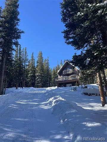 215 Bum Drive Fairplay, CO 80440