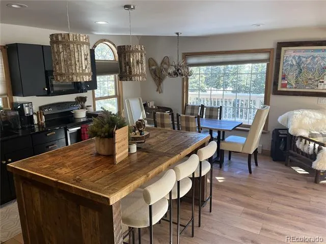 215 Bum Drive Fairplay, CO 80440