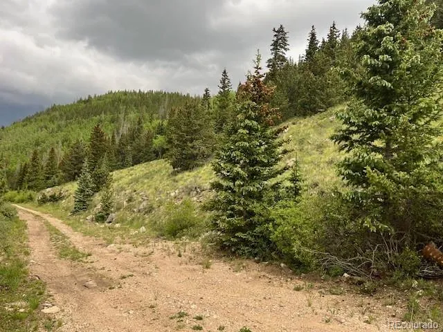 Lot 6644 Phillips Road San Luis, CO 81152