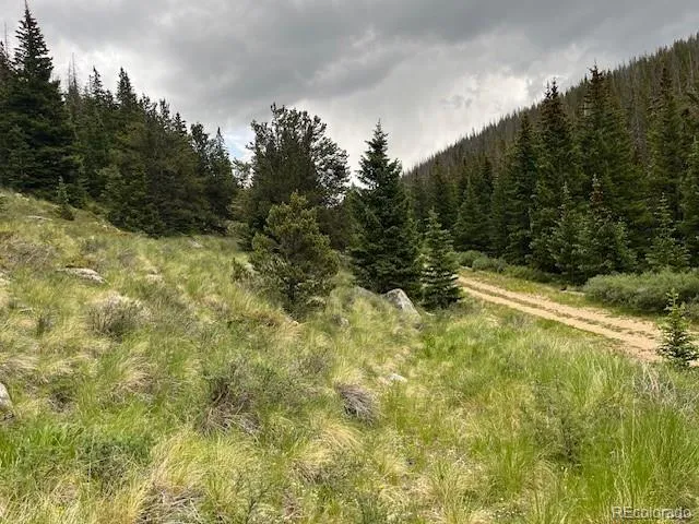 Lot 6644 Phillips Road San Luis, CO 81152