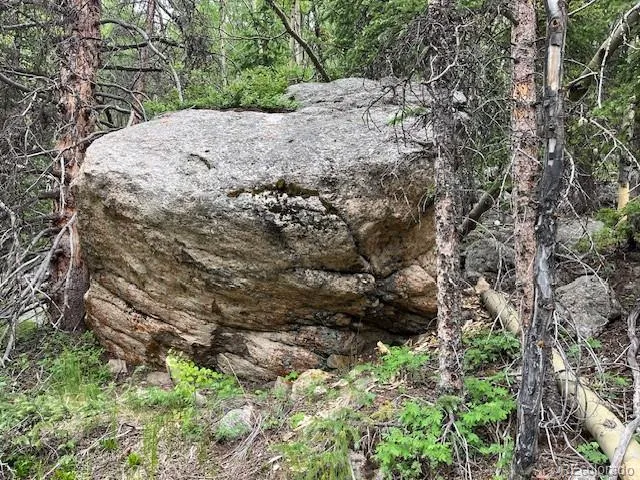 Lot 6644 Phillips Road San Luis, CO 81152