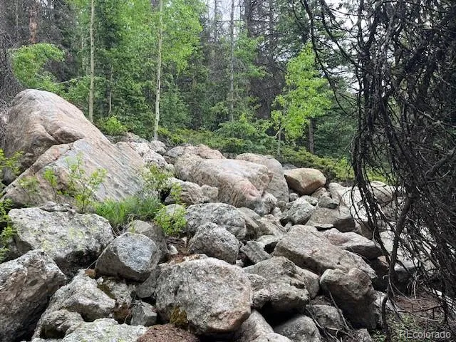 Lot 6644 Phillips Road San Luis, CO 81152