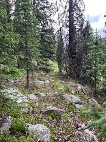 Lot 6644 Phillips Road San Luis, CO 81152