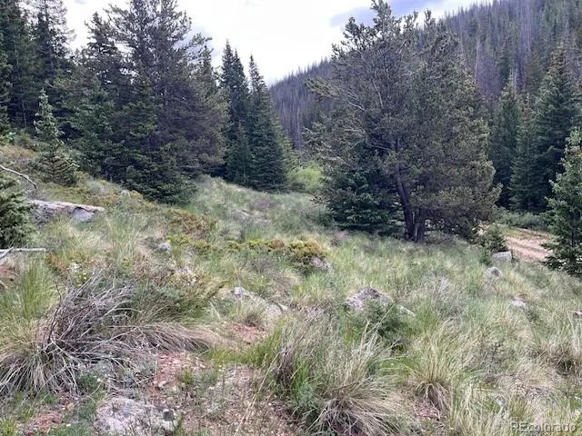 Lot 6644 Phillips Road San Luis, CO 81152