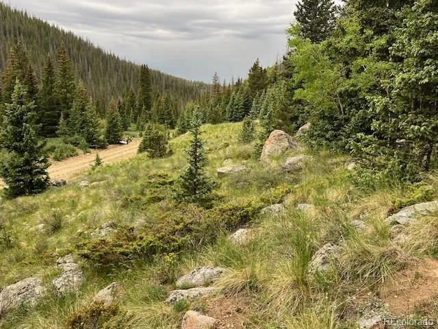 Lot 6644 Phillips Road San Luis, CO 81152