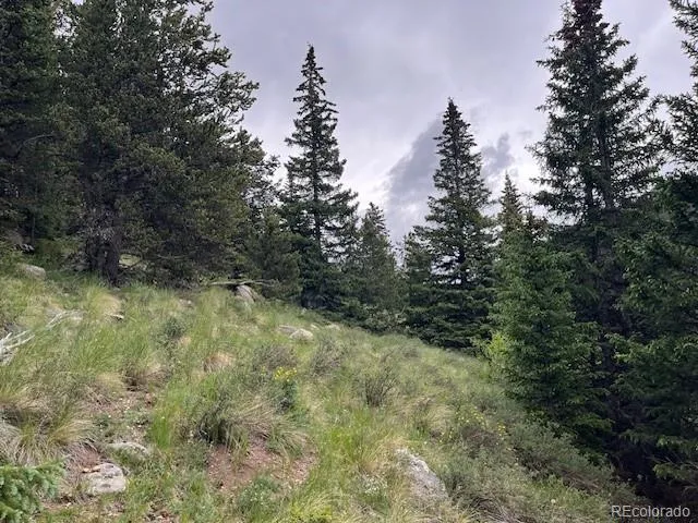 Lot 6644 Phillips Road San Luis, CO 81152