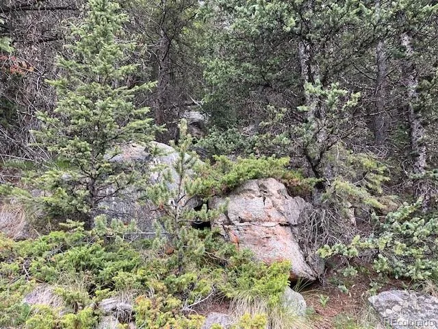 Lot 6644 Phillips Road San Luis, CO 81152
