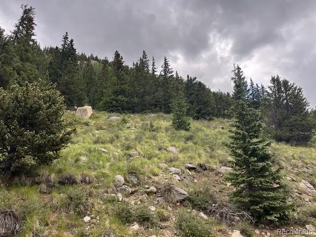 Lot 6644 Phillips Road San Luis, CO 81152