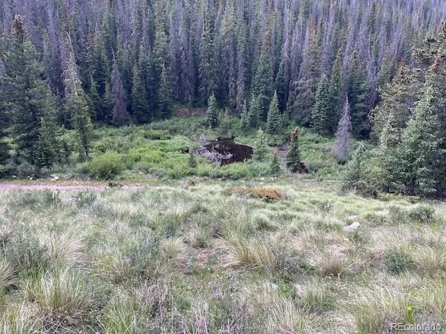 Lot 6644 Phillips Road San Luis, CO 81152