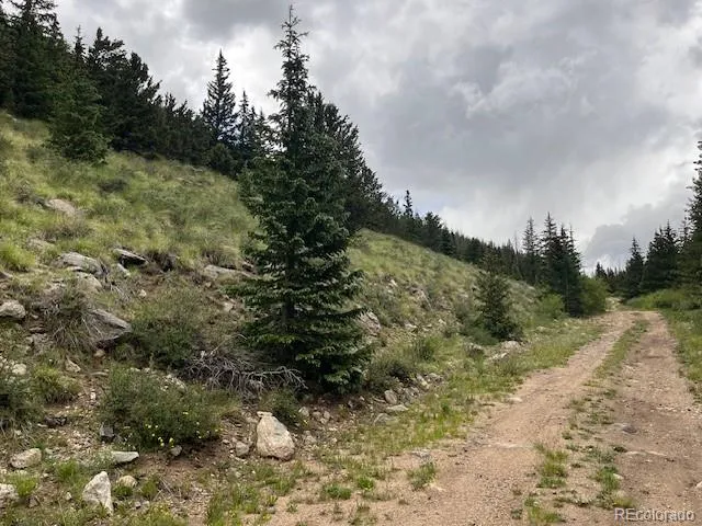Lot 6644 Phillips Road San Luis, CO 81152