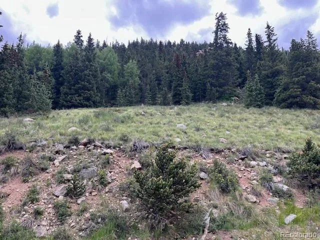 Lot 6644 Phillips Road San Luis, CO 81152
