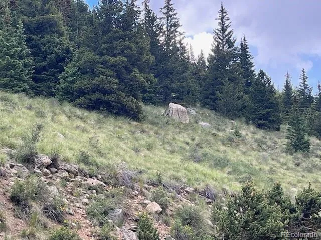 Lot 6644 Phillips Road San Luis, CO 81152