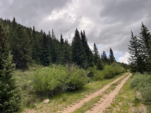 Lot 6644 Phillips Road San Luis, CO 81152