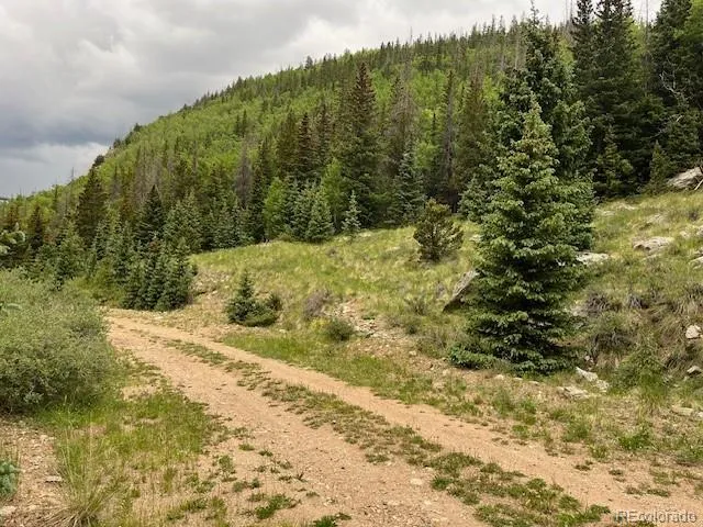 Lot 6644 Phillips Road San Luis, CO 81152