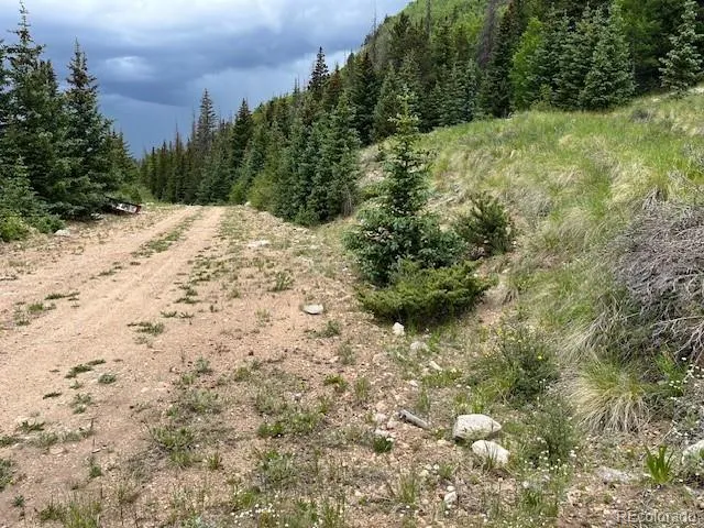 Lot 6644 Phillips Road San Luis, CO 81152