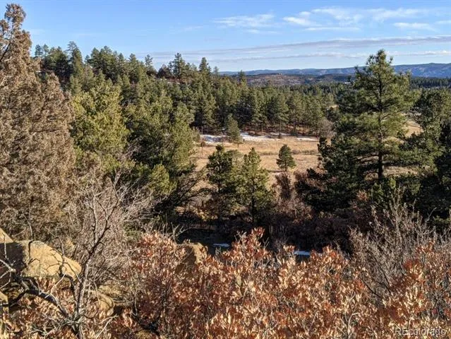 Rancho La Garita Lot 175 Weston, CO 81091