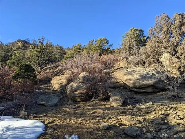 Rancho La Garita Lot 175 Weston, CO 81091