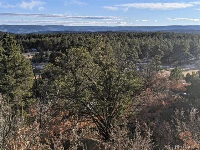 Rancho La Garita Lot 175 Weston, CO 81091
