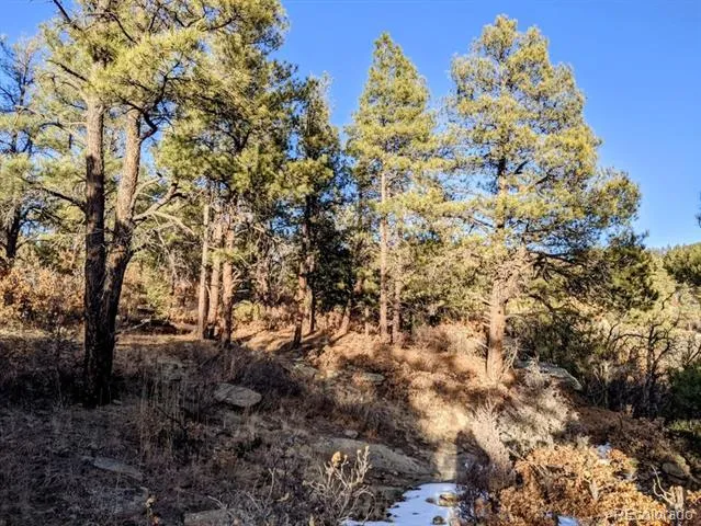 Rancho La Garita Lot 175 Weston, CO 81091