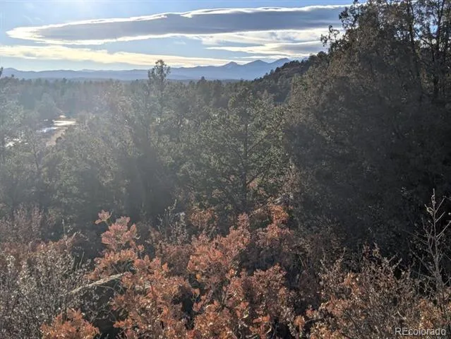 Rancho La Garita Lot 175 Weston, CO 81091