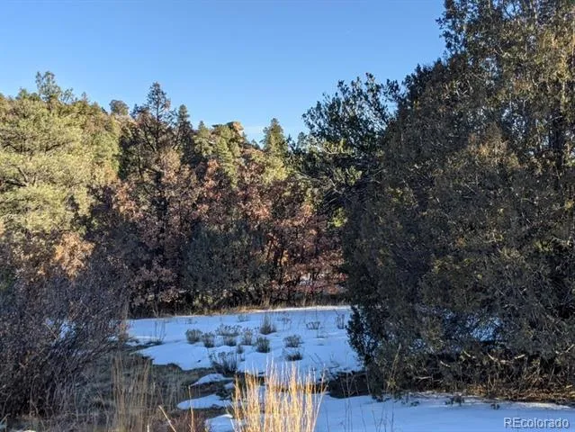 Rancho La Garita Lot 175 Weston, CO 81091