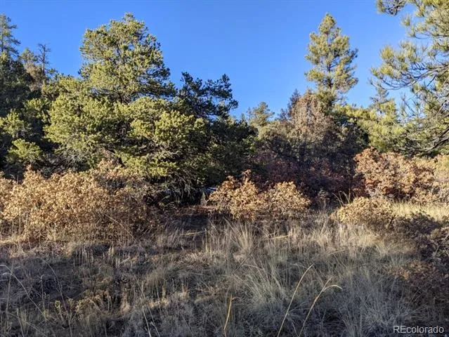 Rancho La Garita Lot 175 Weston, CO 81091