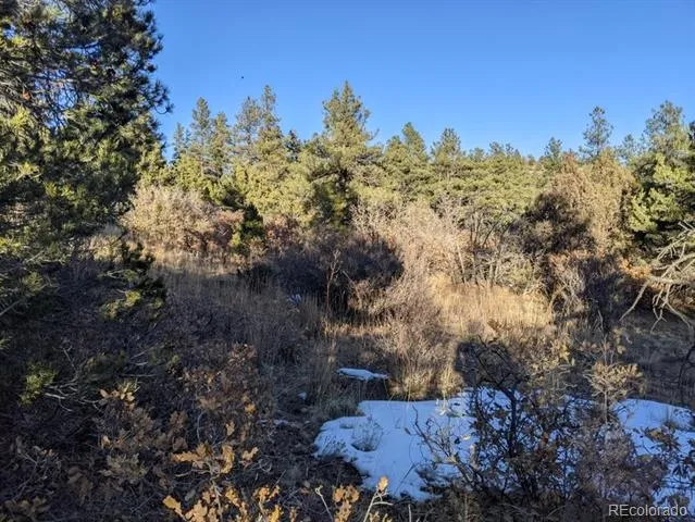Rancho La Garita Lot 175 Weston, CO 81091
