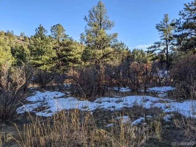 Rancho La Garita Lot 175 Weston, CO 81091
