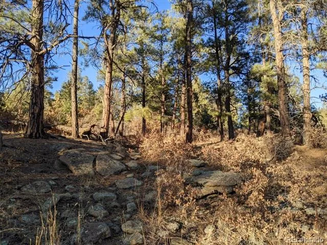 Rancho La Garita Lot 175 Weston, CO 81091