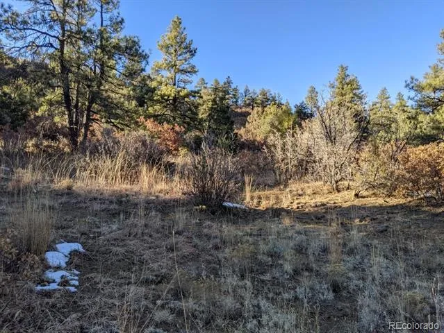 Rancho La Garita Lot 175 Weston, CO 81091