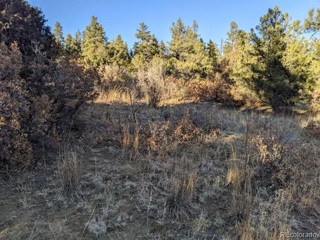 Rancho La Garita Lot 175 Weston, CO 81091