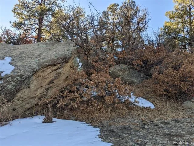 Rancho La Garita Lot 175 Weston, CO 81091