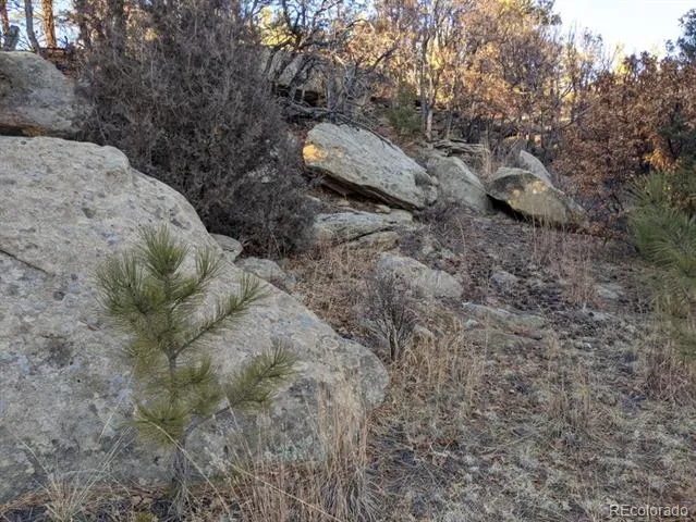 Rancho La Garita Lot 175 Weston, CO 81091