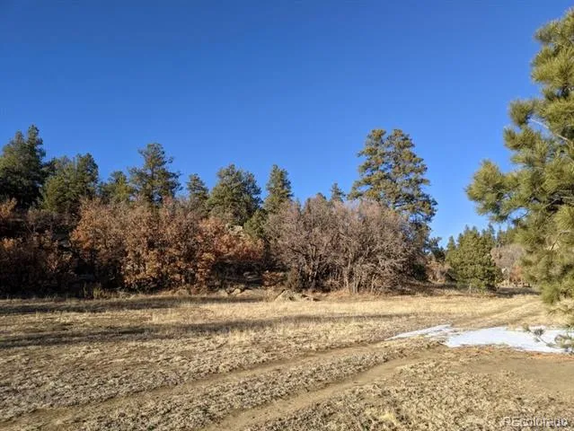 Rancho La Garita Lot 175 Weston, CO 81091