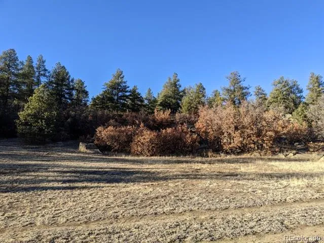 Rancho La Garita Lot 175 Weston, CO 81091