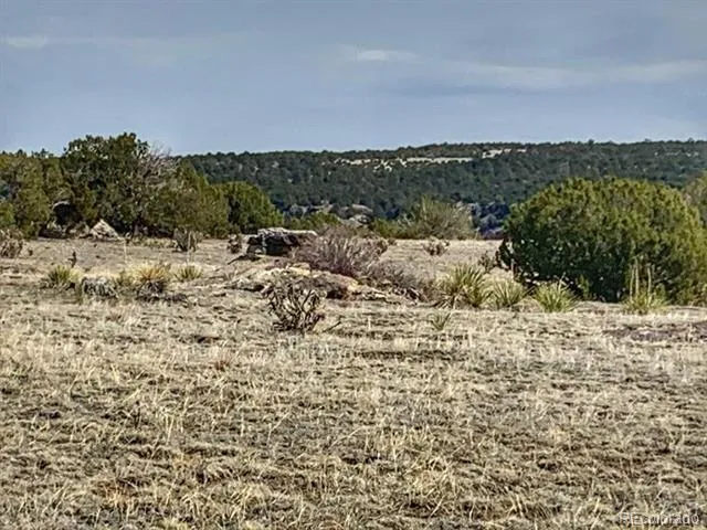 Lot 80 Turkey Ridge Ranch Walsenburg, CO 81089