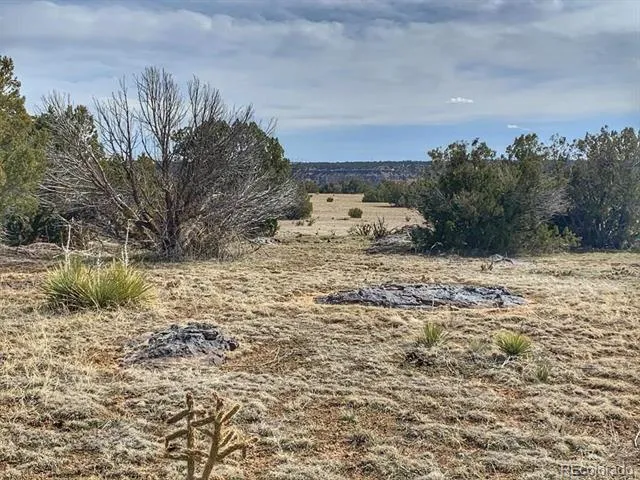 Lot 80 Turkey Ridge Ranch Walsenburg, CO 81089
