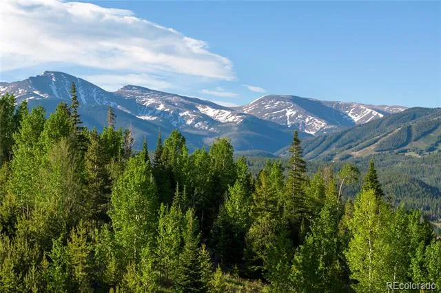 1414 Pioneer Trail Fraser, CO 80442
