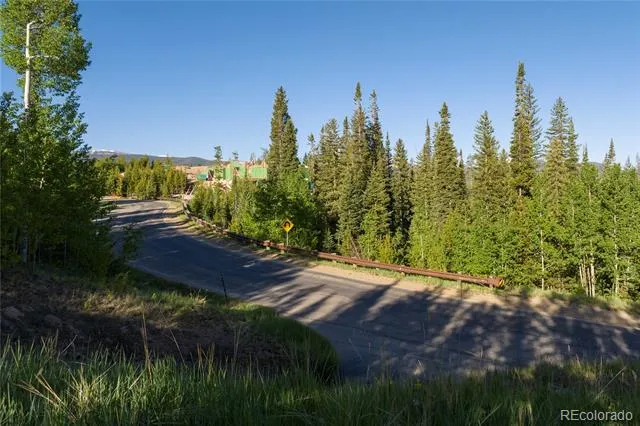 1414 Pioneer Trail Fraser, CO 80442