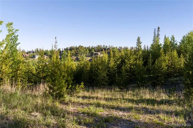 1414 Pioneer Trail Fraser, CO 80442