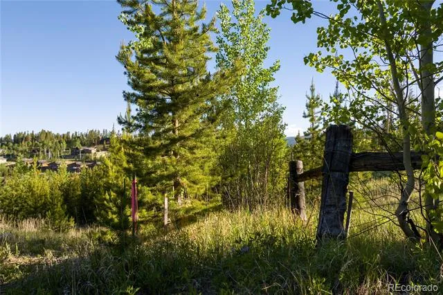 1414 Pioneer Trail Fraser, CO 80442