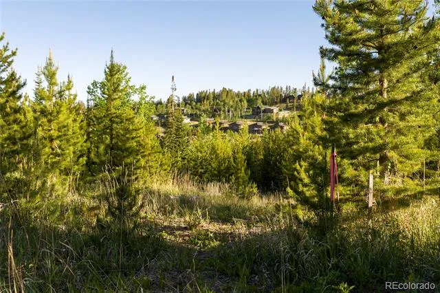 1414 Pioneer Trail Fraser, CO 80442