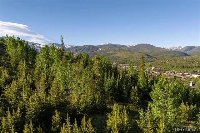 1414 Pioneer Trail Fraser, CO 80442
