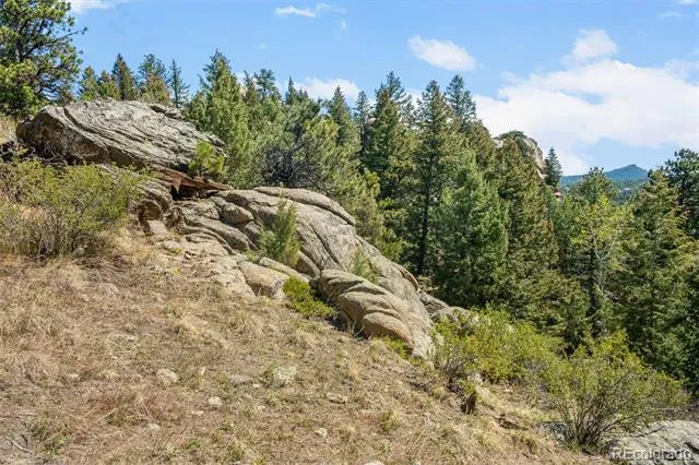 6361 Canyon Creek Road Evergreen, CO 80439